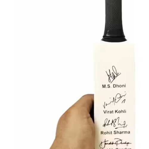 Signature Bat (Cricket)